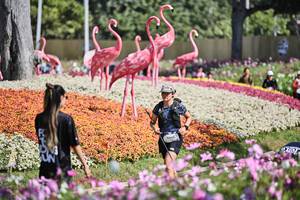 BIB: 
                            <button type="button" onclick="openModal(27793464)" class="btn btn-primary btn-sm float-right btn-popup" data-toggle="modal" data-target=".modal-high-quality">
                        <i class="fas fa-shopping-cart"></i> Add to Cart
                    </button>
                                            <button type="button" onclick="isThisMe(27793464, true)" class="btn btn-success btn-sm float-right btn-popup btn-isme hidden" data-toggle="tooltip" data-placement="bottom" title="นี่คือรูปของคุณใช่ไหม คลิกที่นี่เพื่อเอาเข้าอัลบั้ม">
                        <i class="fas fa-plus"></i> Add to album
                    </button>
                    <button type="button" onclick="isThisMe(27793464, false)" class="btn btn-warning btn-sm float-right btn-popup btn-isnotme hidden">
                        <i class="fas fa-ban"></i> Remove from album
                    </button>